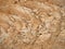 Abstract limestone background