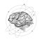 Abstract linear drawing of a brain surrounded by stars in orbits