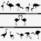 Abstract logo exotic birds silhouette flamingo