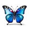 Abstract lovely butterfly background wallpaper