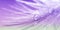 Abstract macro border, feather of a purple bird with a drop of dew or water. Selective focus. Art work