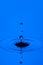 Abstract Macro Shot of Multiple Blue Water Droplets Over Tranquil Water Surface