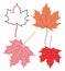 Abstract Maple leaf