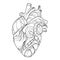 Abstract mechanical human heart in steampunk style Line art drawing vector illustration.Surrealist Stylized human heart