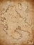 abstract medieval nautical map vertical background