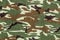 Abstract military camouflage background