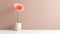 Abstract Minimalism: Gerbera In An Empty Room