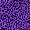 Abstract modern leopard seamless pattern. Animals trendy background. Purple and black decorative vector stock