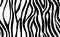 Abstract modern zebra seamless pattern. Animals trendy background. White and black decorative vector stock illustration