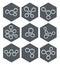 Abstract molecule icons design. vector