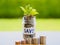Abstract money saving small baby tree with glass jar Coins with stack coins on table with green tree