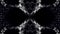 Abstract, monochrome symmetric pattern of feathers on black background, seamless loop. Kaleidoscopic abstract ovals