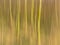 Abstract motion blur background in soft brown and yellow with vertical lines.