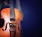 Abstract musical background is the violin toned photo