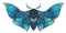 Abstract mystical Moth in psychedelic design. Vector illustration.