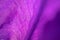 Abstract natural color background image. Petals of a purple flower close-up, macro photo.