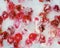 Abstract natural floral background. Small buds of red roses in ice. Ice background.