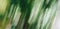 Abstract Nature Blurred dynamic motion lines defocused light bright dark green yellow tropical leaves Wallpaper