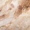 Abstract Nature: Slimy Marble In Beige Stone