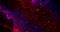 Abstract neon holographic gradient rainbow animation background. 4K motion graphic. Trendy vibrant texture, fashion