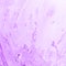 Abstract neon purple background. Trendy paint texture. Magenta backdrop.