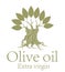 Abstract Olive Oil