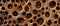 Abstract organic brown wooden wood texture with holes, perforated texture background banner wall AI