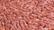 Abstract organic mass in the form of convolutions of the brain or intestines. Flesh-colored organics with blood vessels