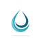 Abstract Ornamental Drop Water Logo Template Illustration Design. Vector EPS 10
