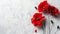 Abstract paint splash with red painted poppy. Lest we forget. Remembrance day or Anzac day symbol. With copyspace for your text