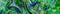 Abstract panorama banner with green and blue chaotic pattern