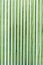 Abstract pattern - green stripes