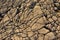 Abstract patterns in limestone on the beach of Mali LoÅ¡inj