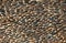 The Abstract of pebble texture