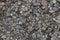 Abstract Pebbles Textures surface background closeup