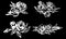 Abstract peonies and roses isolated on black background. Hand drawn floral collection. 4 floral graphic elements. Big vector set.