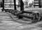 Abstract perspective view of curving walking path with old grunge benches