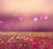 Abstract photo of wild flower field and bright bokeh lights