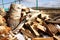 Abstract photograph of piles of natural wooden logs. Background. Harvesting firewood for the winter. Texture. Wood for