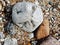 Abstract photography of a grinning stone face at thre beach