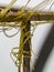 Abstract picture with yellow twine texture