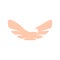 abstract pink color bird element logo. Spreading wings with feathers logotype. Flight icon. Air sign. Vector