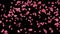 Abstract pink disintegration on a black background. ,3d model and illustration