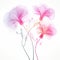 Abstract Pink Flowers: Delicate Curves And Translucent Layers