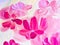 Abstract pink flowers, original hand drawn, impressionism style, color texture, brush strokes of paint, art background