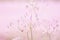 Abstract pink grass flower grain texture background