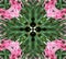 Abstract Pink and Green Design
