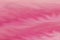 Abstract pink and raspberry background. Soft pink flowing backdrop.