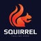 Abstract And Playful Squirrel Logo