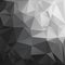 Abstract Polygonal Black And White Tone Background.